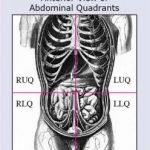 Abdominal Quad